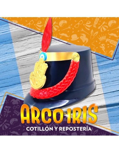 Sombrero Granadero Plastico X 6 - Sin Pechera Patrio Gape