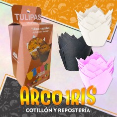 Tulipas Numero 16 X 50