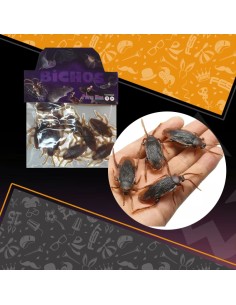 Cucaracha X 12 Halloween Patrimar