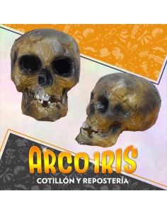 Calavera De La Antiguedad 16 X 15 X 21 Cm - Halloween Party Store