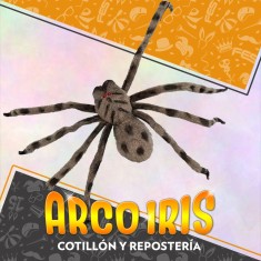 Arana Atigrada 6 X 74 X 20 Cm - Halloween Party Store