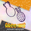 Cortante Cookies Anana- Plastico -frutas-