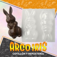 Placas Figura Conejo Parado N.1 X 10 - Pascua Gape