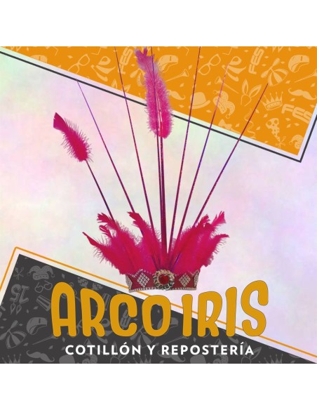 Carnaval Vincha Belen - Rosas Plumas Y Tiras Nuevo Modelo