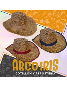 Gorro Cowboy Esterilla -cuadrille-liso-varios Colores