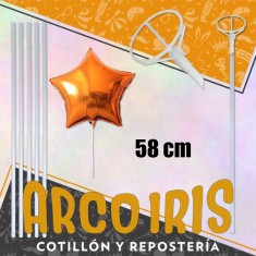 Portaglobo 58 Cm X 50 -esmerilado/color Porta Mylar