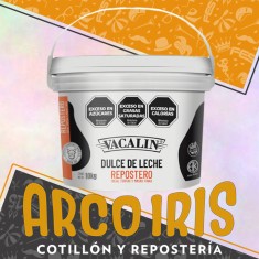 Dulce De Leche 10 Kg - Repostero Primera Calidad Vacalin