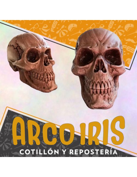 Calavera Craneo Humano - Halloween Party Store