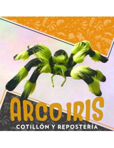 Arana Pelos Verde Fluo 30x8x3 Cm - Halloween Party Store